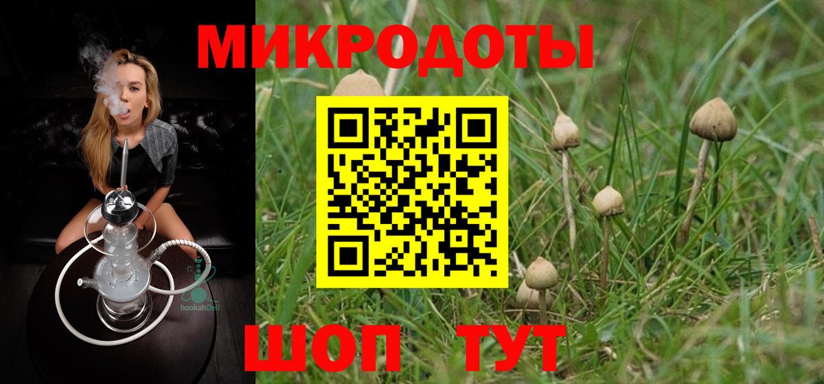 Псилоцибиновые грибы MAGIC MUSHROOMS  Вход с VPN  Костомукша 