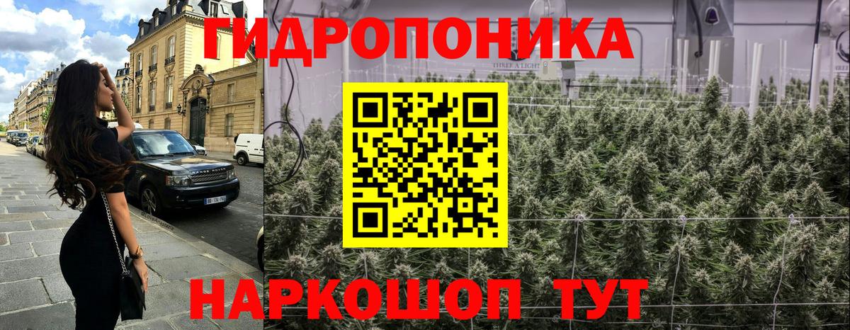 Конопля SATIVA & INDICA Костомукша